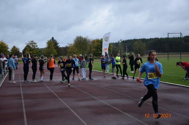 szatf 15